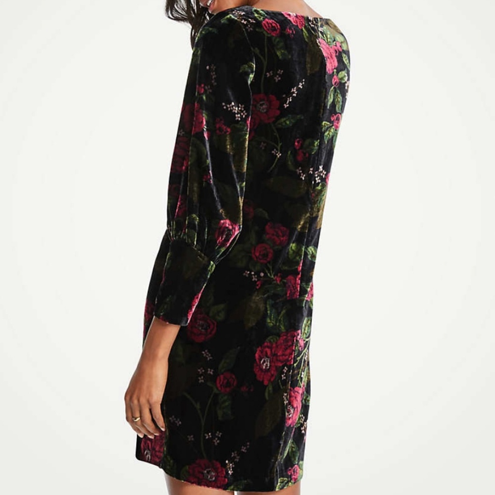 New Ann Taylor Velvet Dress